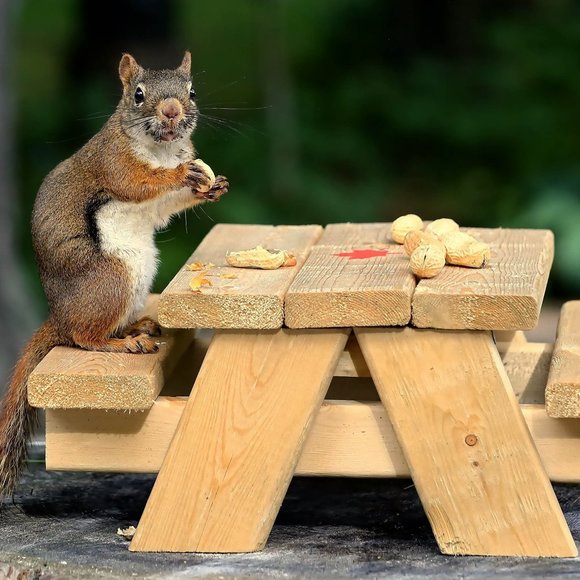 Meet your Posher, Karen - Picture 1 of 1